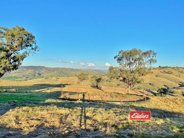 Sixth view of Homely rural property listing, Lot 32 Pride of Oak Road, Canowindra NSW 2804