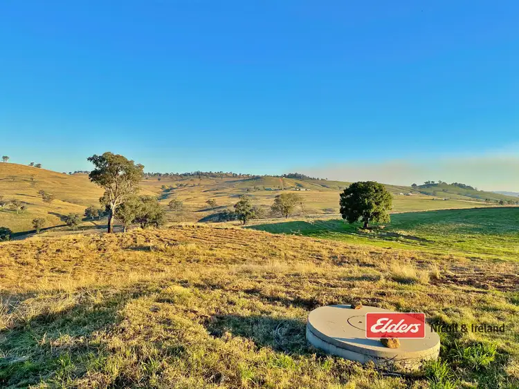 Seventh view of Homely rural property listing, Lot 32 Pride of Oak Road, Canowindra NSW 2804