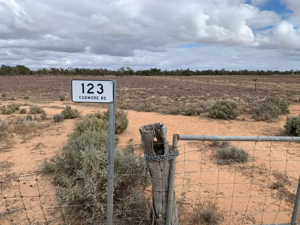 Main view of Homely rural property listing, 123 Cudmore Road, Pomona NSW 2648