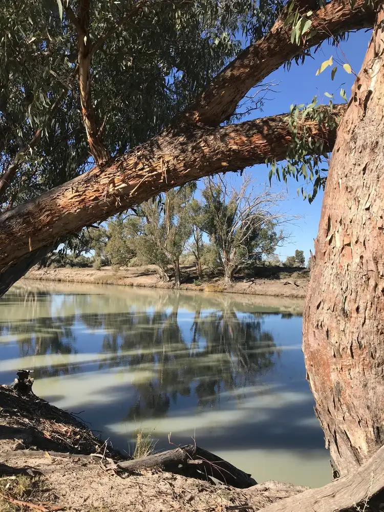 Second view of Homely rural property listing, 123 Cudmore Road, Pomona NSW 2648