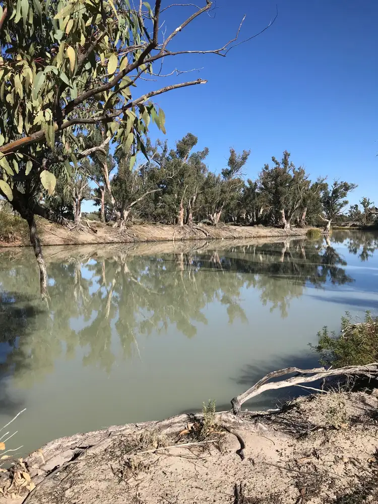 Third view of Homely rural property listing, 123 Cudmore Road, Pomona NSW 2648