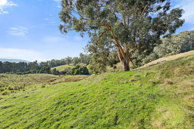 Sixth view of Homely rural property listing, - Rogers Road Trafalgar Vic 3824, Trafalgar VIC 3824