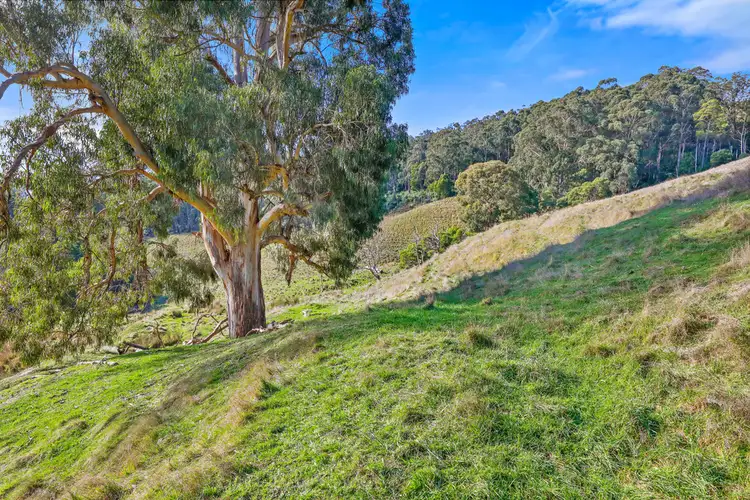 Seventh view of Homely rural property listing, - Rogers Road Trafalgar Vic 3824, Trafalgar VIC 3824