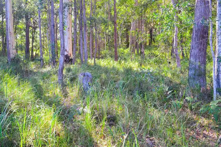 Seventh view of Homely land listing, 73 Dianella Drive, Gulmarrad NSW 2463