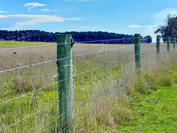Seventh view of Homely rural property listing, - Camperdown-Lismore Road, Larralea VIC 3325