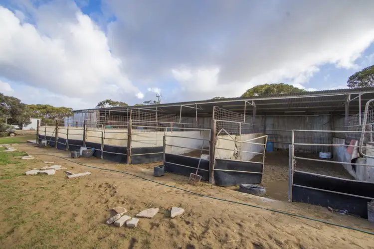Third view of Homely rural property listing, 178 Mount Maria Drive, Streaky Bay SA 5680