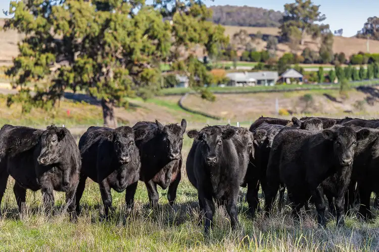 Third view of Homely rural property listing, 661 Killingworth West Road, Killingworth VIC 3717