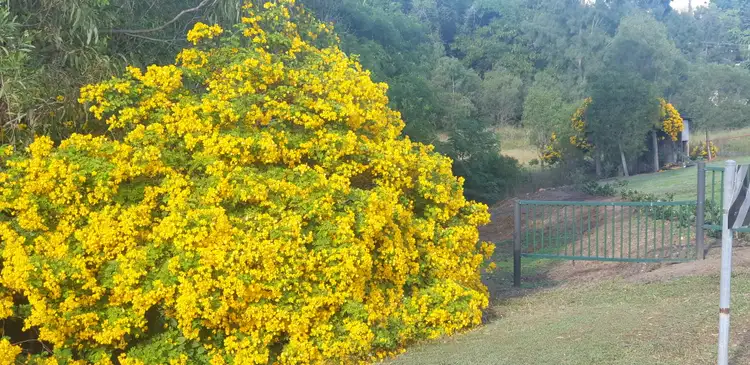 Seventh view of Homely house listing, 24 William Street, Mount Perry QLD 4671