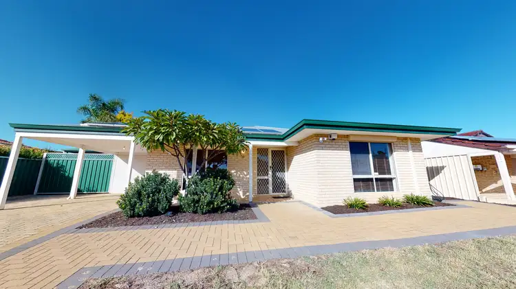 Third view of Homely house listing, 19 River Fig Place, Alexander Heights WA 6064