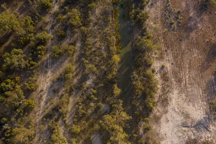 Sixth view of Homely rural property listing, Lots 1 & 5787 Renmark Road, Wentworth NSW 2648