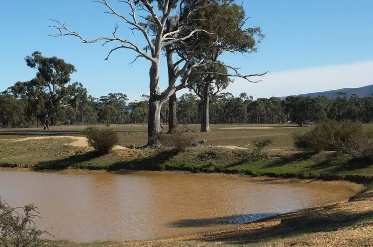 Main view of Homely rural property listing, Lots 2 & 4 Sunraysia Highway, Avoca VIC 3467