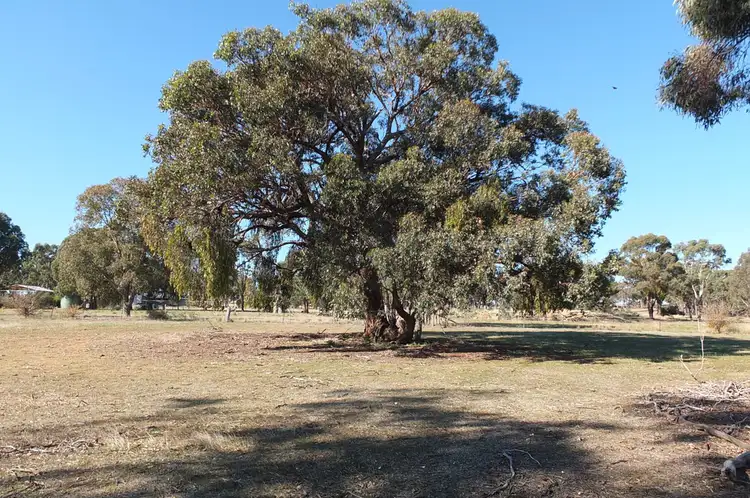 Seventh view of Homely rural property listing, Lots 2 & 4 Sunraysia Highway, Avoca VIC 3467