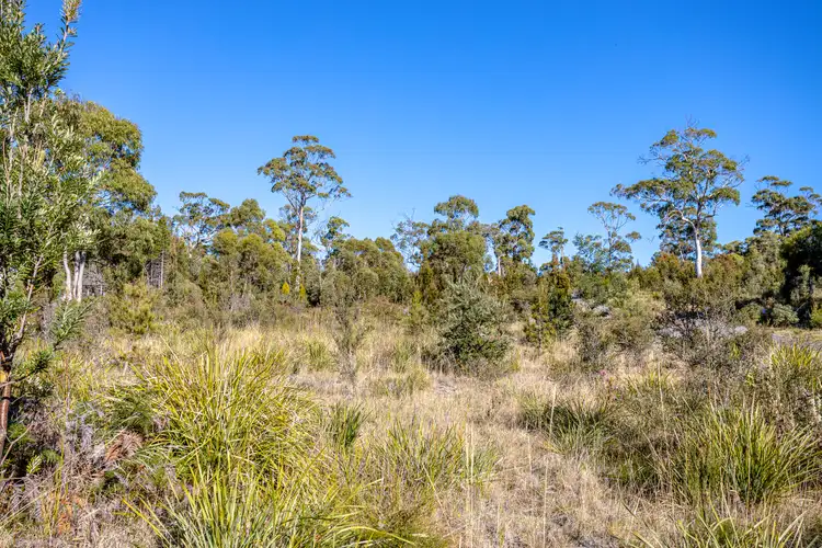 Seventh view of Homely land listing, 92C Barton Avenue, Triabunna TAS 7190