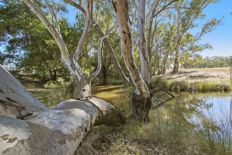 Third view of Homely rural property listing, 1542 Dookie Devenish Road, Devenish VIC 3726