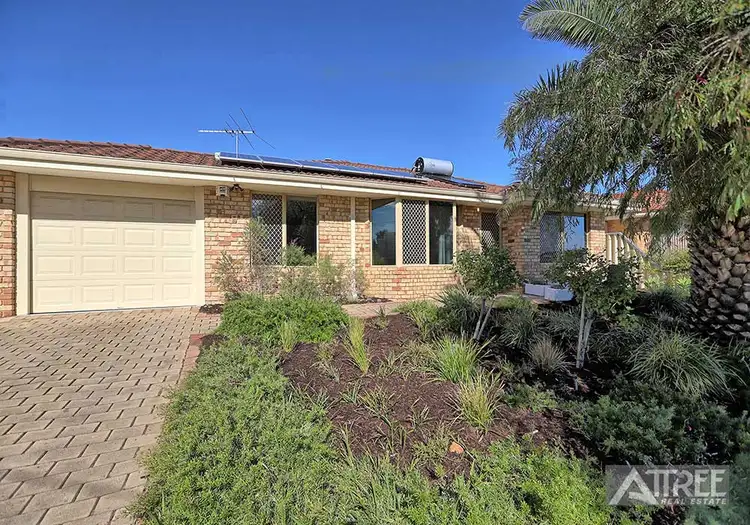 Main view of Homely house listing, 19 Mariana Close, Maddington WA 6109