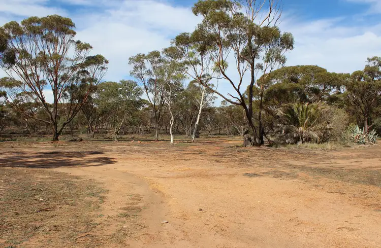 Main view of Homely land listing, 3 Scaddan St, Goomalling WA 6460