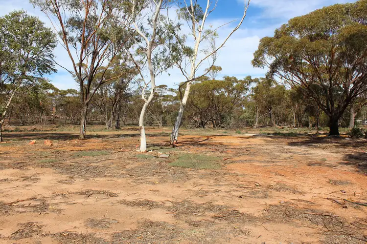 Third view of Homely land listing, 3 Scaddan St, Goomalling WA 6460