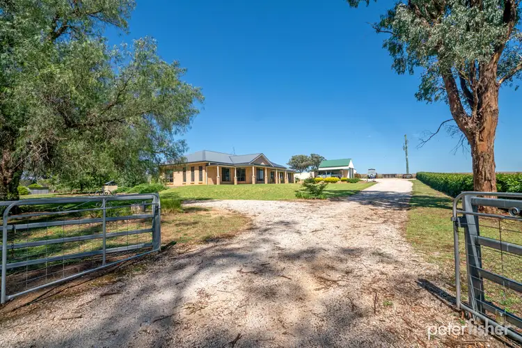 7 Pocknalls Lane, Molong NSW 2866