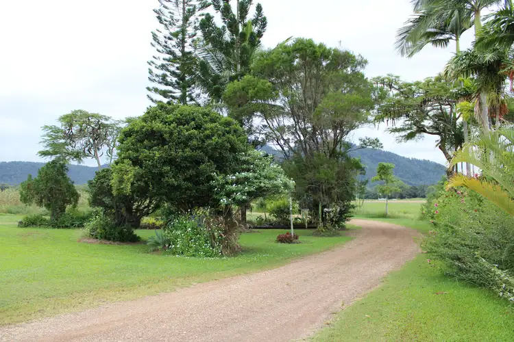 Sixth view of Homely rural property listing, 50 Vassallos Road, Brightly QLD 4741