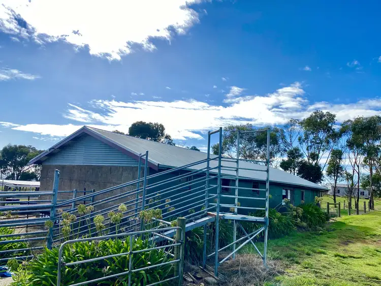 Fourth view of Homely rural property listing, 85 Sadlers Road, Camperdown VIC 3260