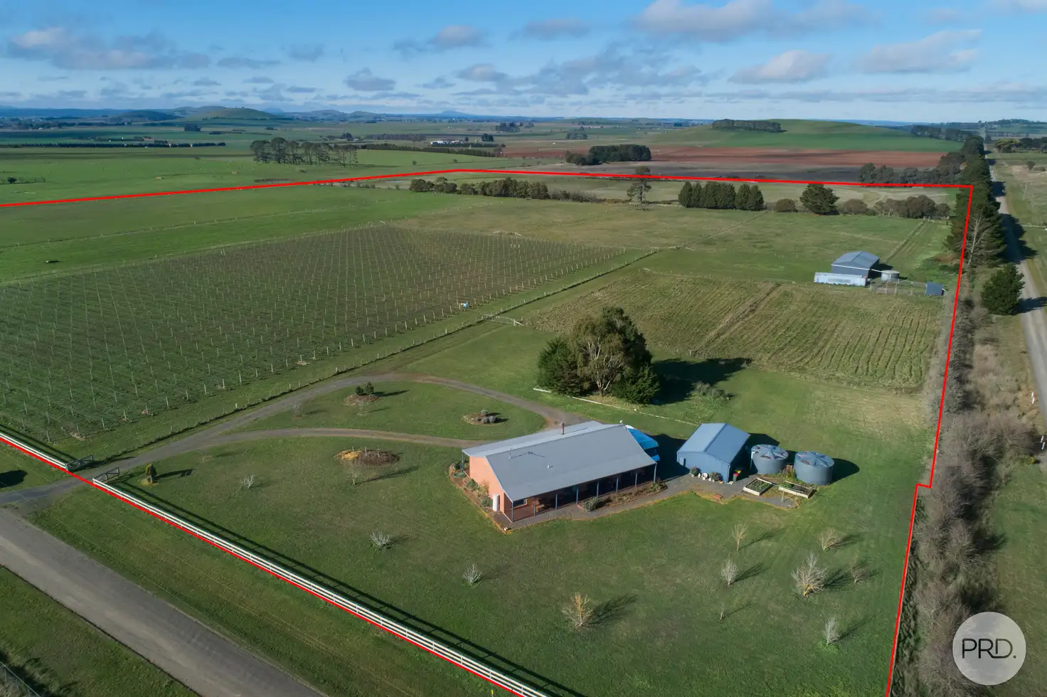 Main view of Homely rural property listing, 137 Griffins Road, Coghills Creek VIC 3364