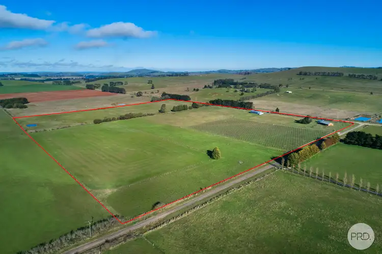 Second view of Homely rural property listing, 137 Griffins Road, Coghills Creek VIC 3364
