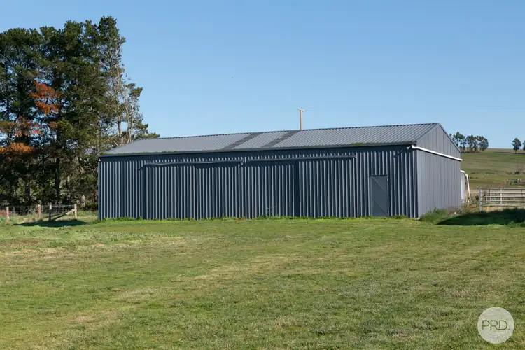 Fifth view of Homely rural property listing, 137 Griffins Road, Coghills Creek VIC 3364