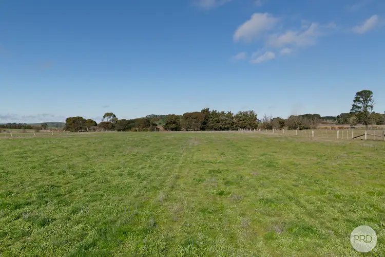 Sixth view of Homely rural property listing, 137 Griffins Road, Coghills Creek VIC 3364