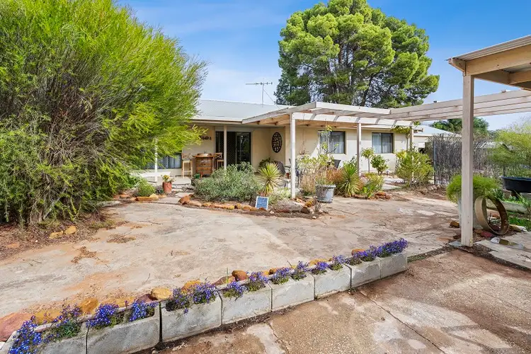 Second view of Homely house listing, 20 Morris Street, Loveday SA 5345
