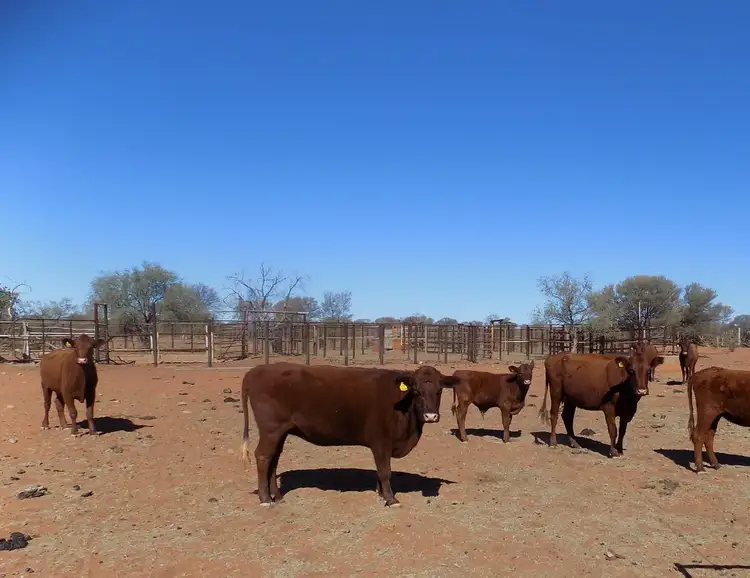 Fourth view of Homely rural property listing, Address available on request