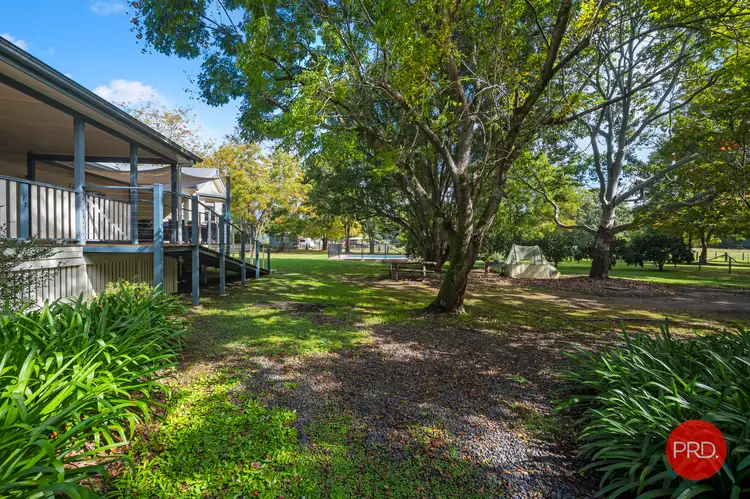 Fifth view of Homely house listing, 977 Orara Way, Nana Glen NSW 2450