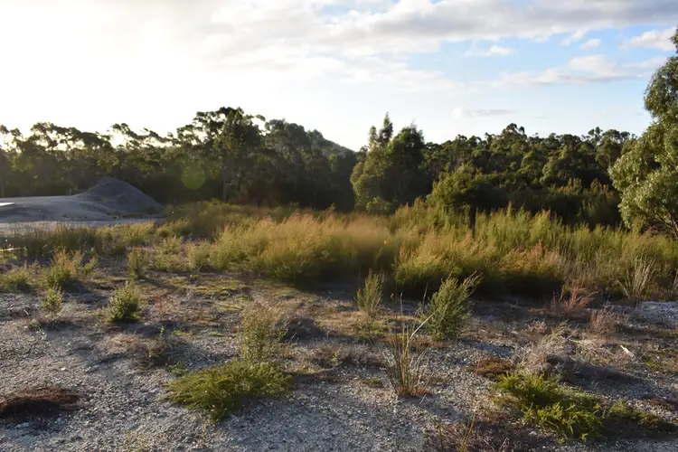 Main view of Homely land listing, 7 Bissett Place, Heybridge TAS 7316
