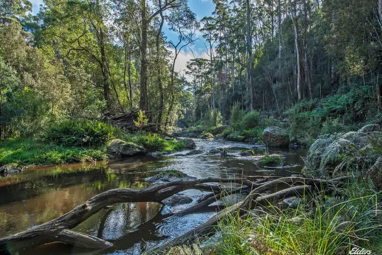 Third view of Homely rural property listing, 0 McGees Road, Moorleah TAS 7325