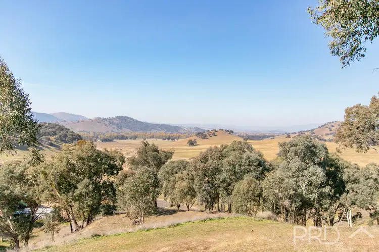 LOT 13 & 16 Wallaby Lane, Gocup NSW 2720