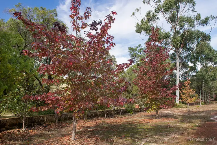 Fifth view of Homely house listing, 29 Wylarah Way, Quindalup WA 6281