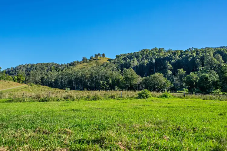 Second view of Homely rural property listing, Lot 101 Killabakh Creek Road, Killabakh NSW 2429