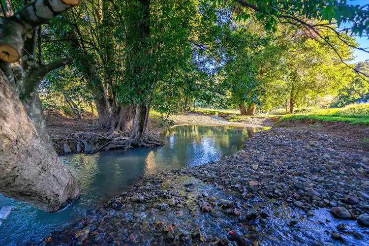 Fifth view of Homely rural property listing, Lot 101 Killabakh Creek Road, Killabakh NSW 2429