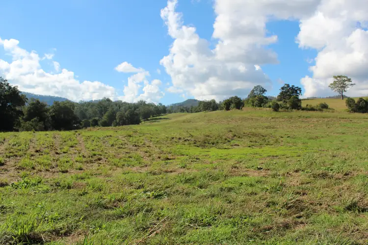 Sixth view of Homely rural property listing, Lot 101 Killabakh Creek Road, Killabakh NSW 2429