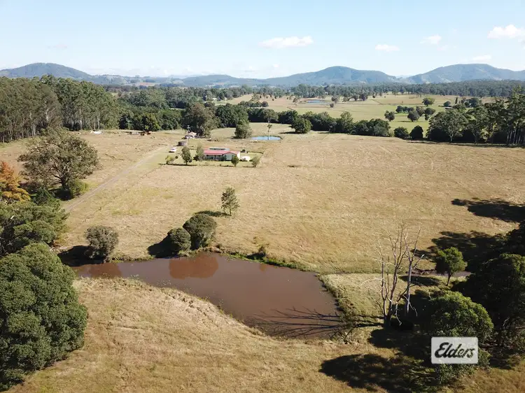 Main view of Homely rural property listing, 919 Cedar Party Road, Cedar Party NSW 2429