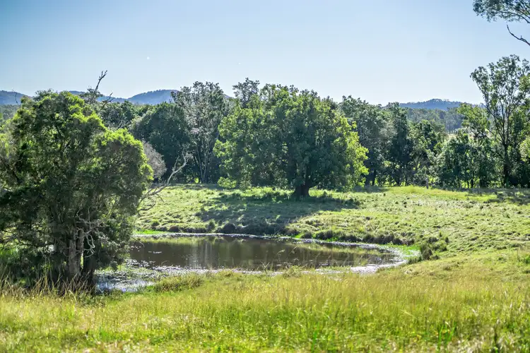 Sixth view of Homely rural property listing, 919 Cedar Party Road, Cedar Party NSW 2429