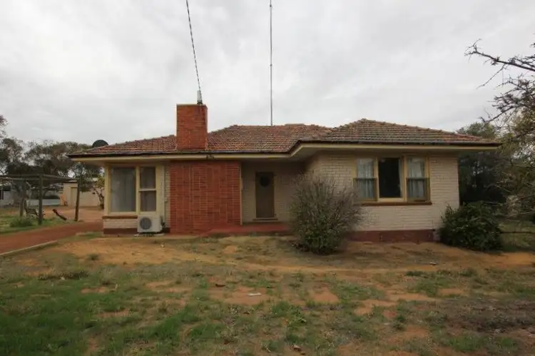 Main view of Homely house listing, 125 Butcher Street, Bruce Rock WA 6418