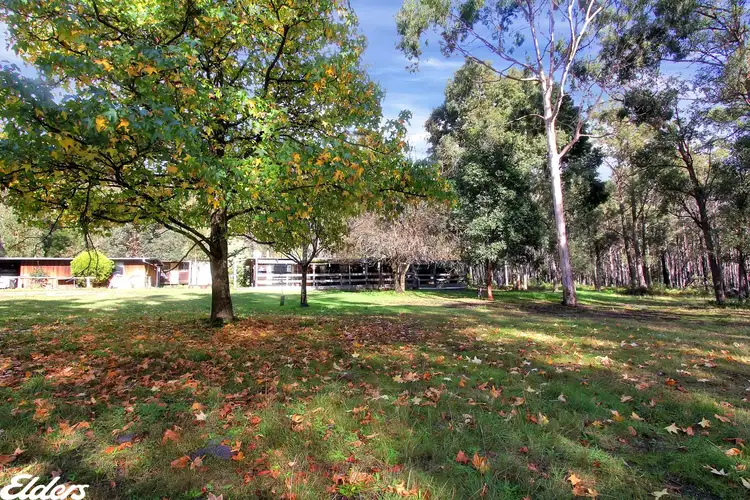 Second view of Homely rural property listing, 47 Ingles Road, Devon North VIC 3971