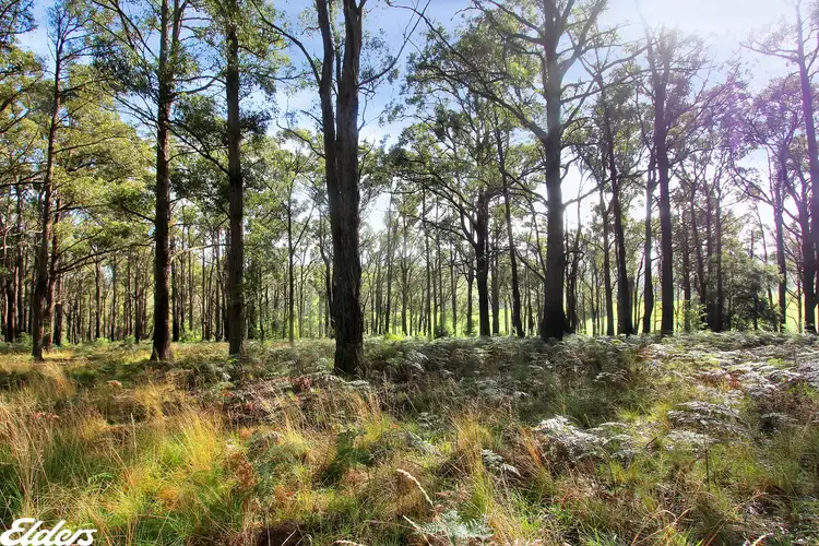 Fourth view of Homely rural property listing, 47 Ingles Road, Devon North VIC 3971