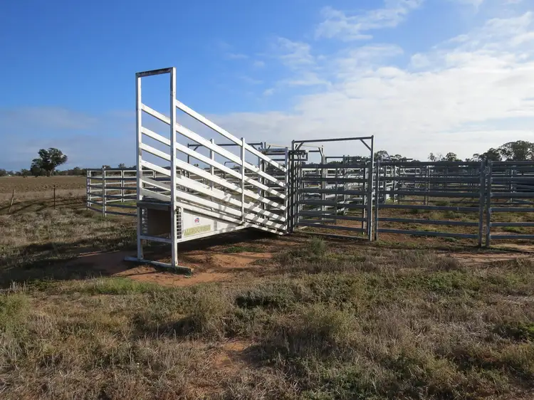 Main view of Homely rural property listing, 131 Birganbigil Road, Deniliquin NSW 2710