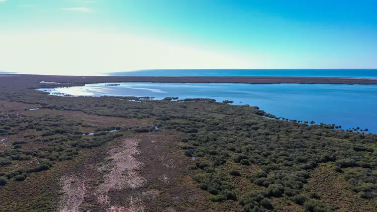 Fourth view of Homely land listing, Allotment 52 Cape Bauer Road, Streaky Bay SA 5680