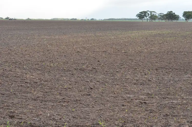 Fifth view of Homely rural property listing, 125 Eastern Road, Millicent SA 5280