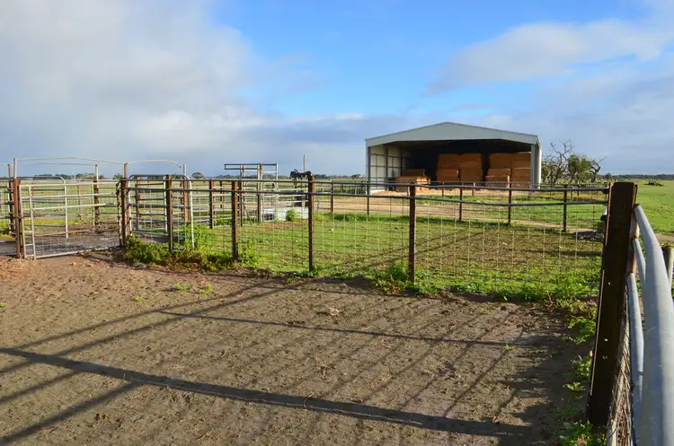 Seventh view of Homely rural property listing, 125 Eastern Road, Millicent SA 5280