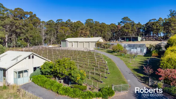 Second view of Homely rural property listing, 3 Lothian Place, Riverside TAS 7250