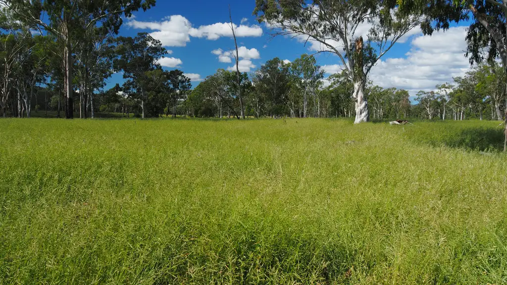 Main view of Homely rural property listing, 200 Zangaris Road, Biloela QLD 4715
