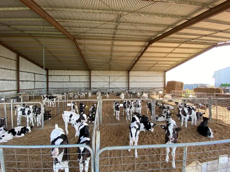 Sixth view of Homely rural property listing, - Timboon-Terang Road, Ecklin South VIC 3265